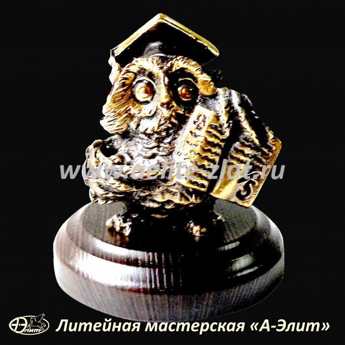 Статуэтка Ученик сова, оригинальный подарок выпускнику Вуза. Статуэтка Ученик сова, оригинальный подарок выпускнику Вуза
